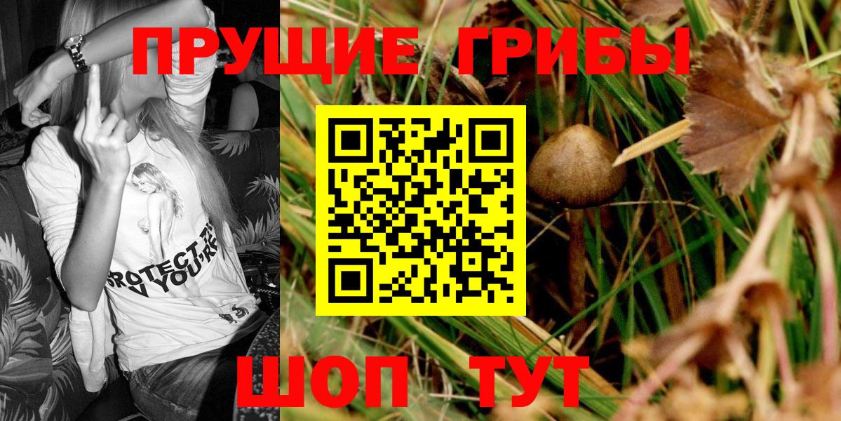 Псилоцибиновые грибы мухоморы  где купить   Алушта  Вход с VPN 